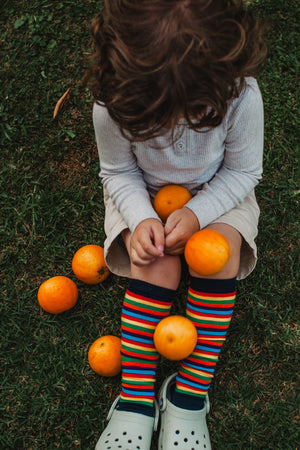 Jester Knee-High Merino Socks (NB-3 months and 8-12 years)